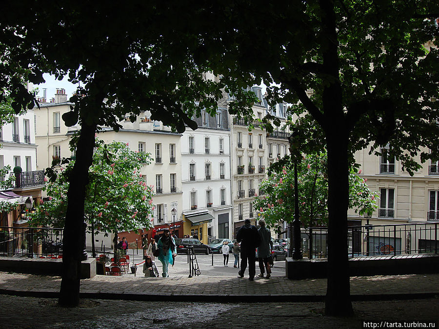 Лучше не любоваться каштанами, стоя под деревьями, здесь очень бойкие птички. Париж, Франция