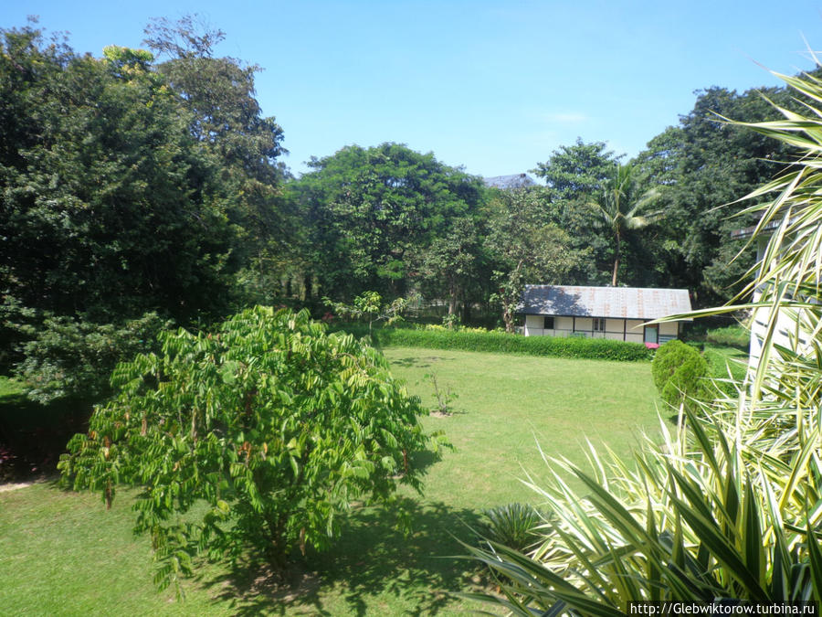 Yangon Zoological Garden