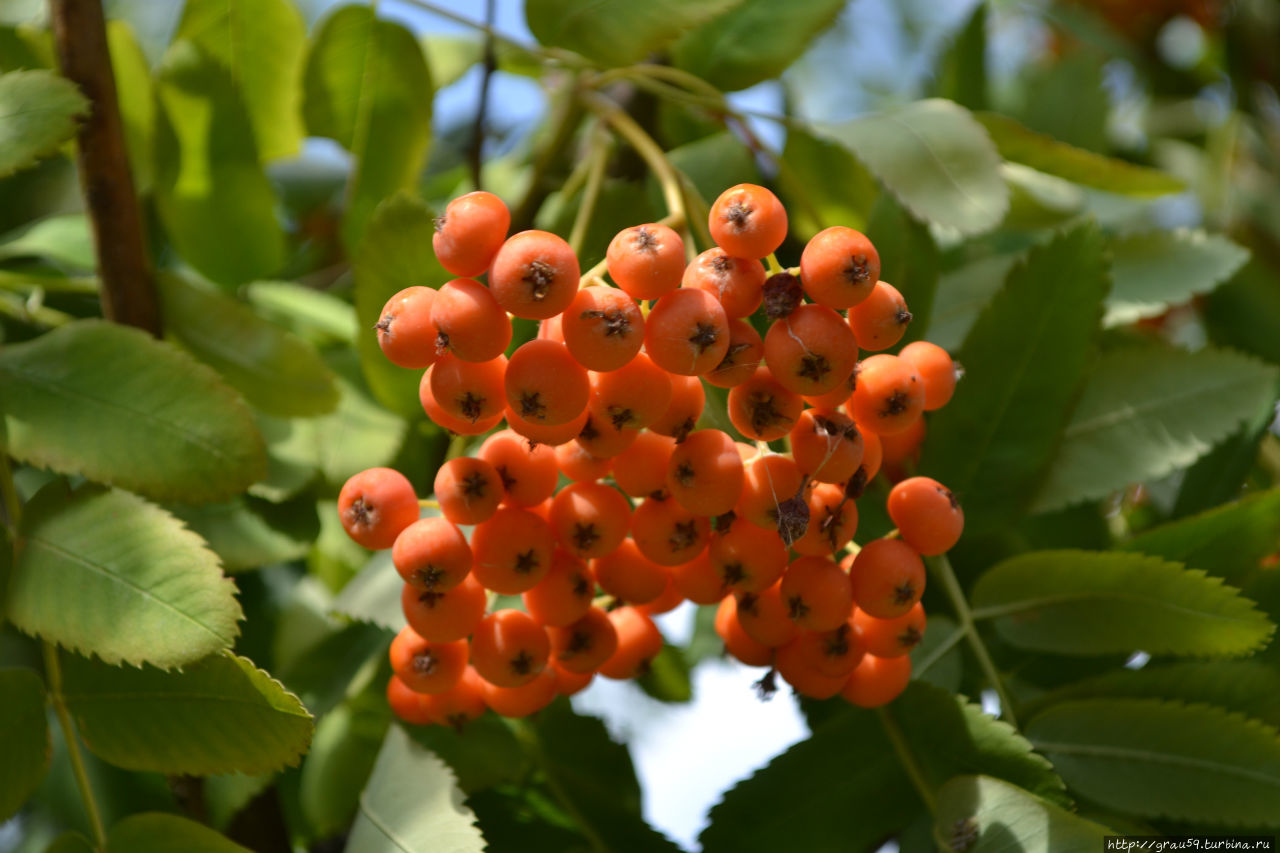 Саратов Россия