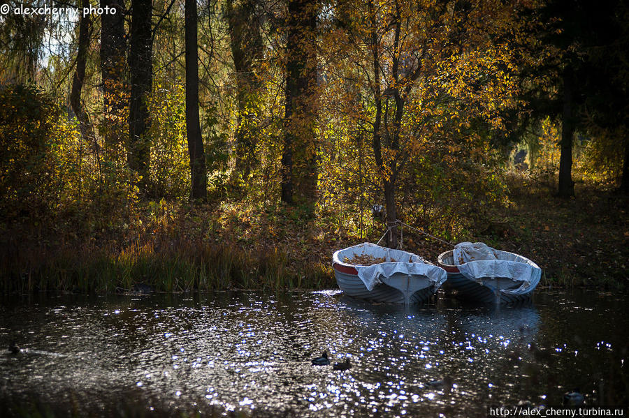 Осень в Гатчинском парке Гатчина, Россия