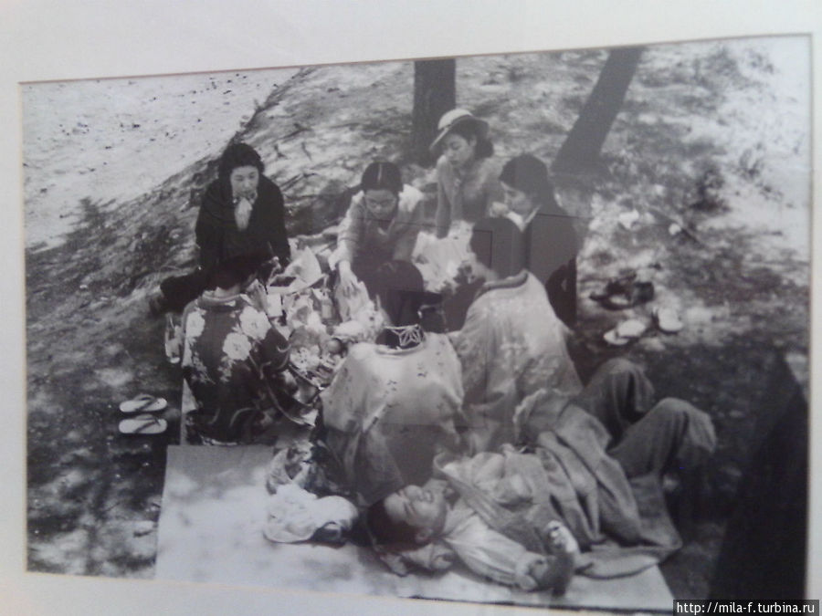 На выставке Сто лет Токио-Ханами-1936год. Санкт-Петербург, Россия