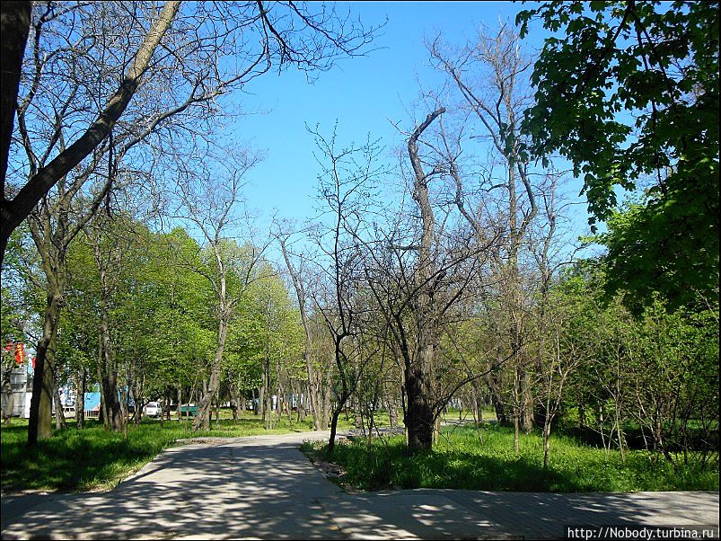 Рядом с морем Одесса, Украина