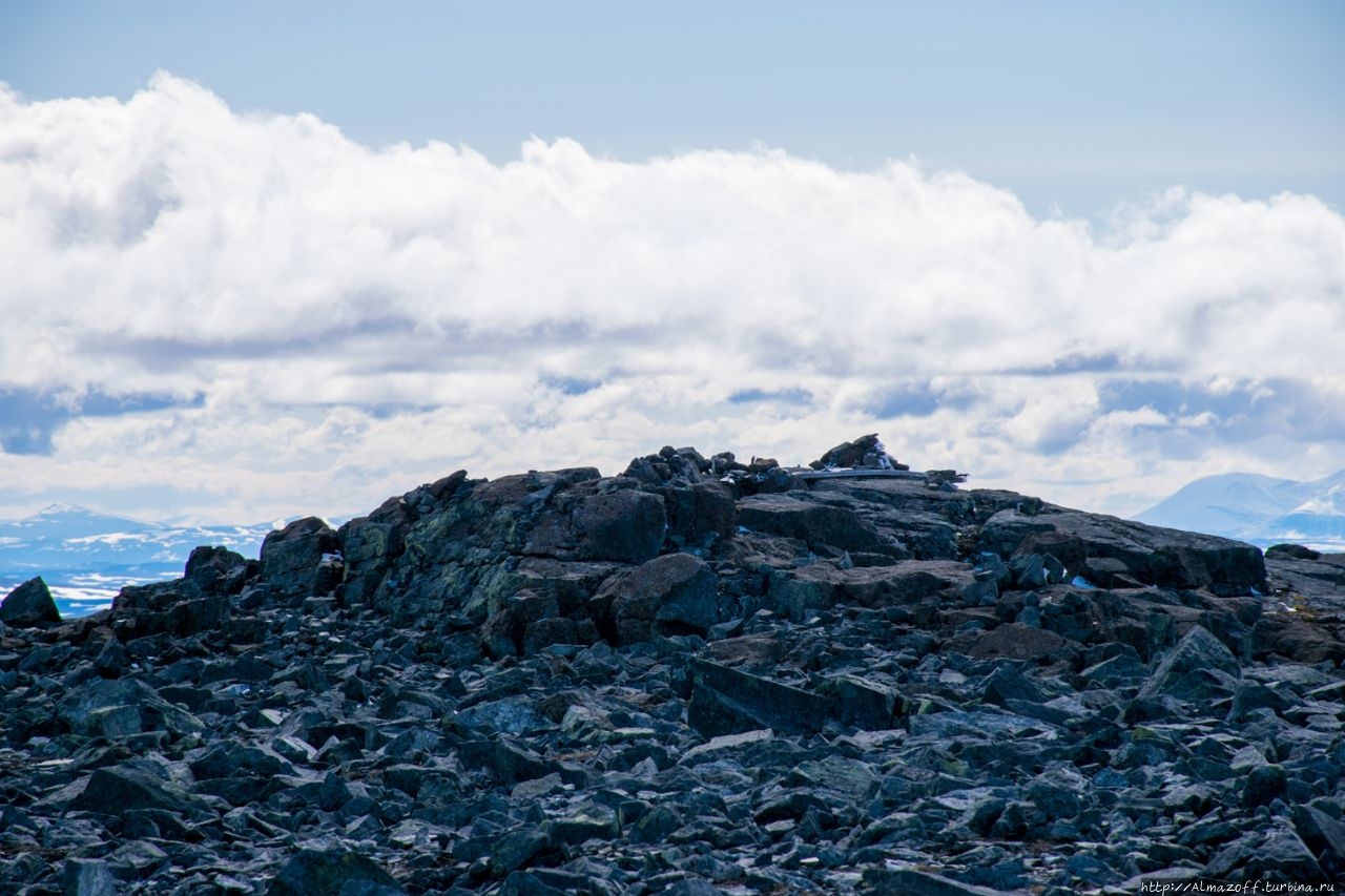 Вершина горы Халти (1328 м), Северная Норвегия.