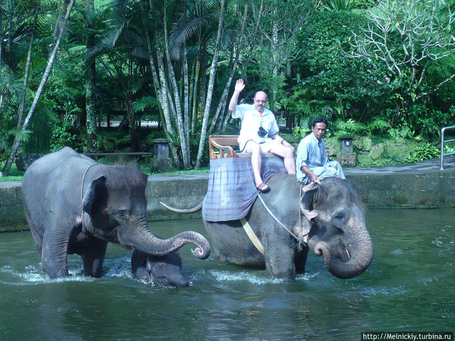 Парк слонов Убуд, Индонезия