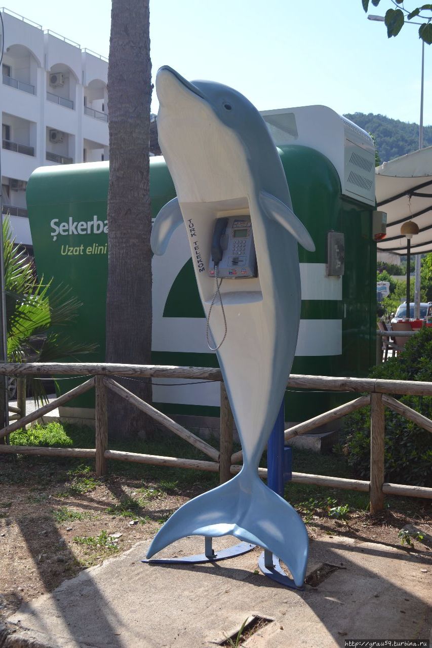 Дельфины Эгейского моря