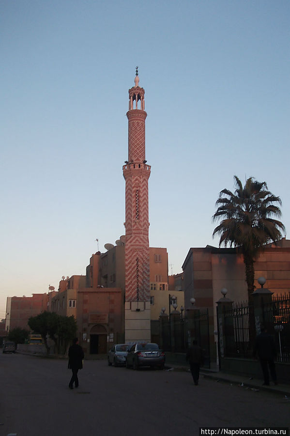 Старый друг Бени-Суэйф, Египет