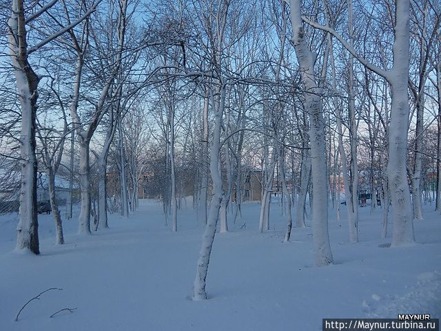 После  циклона . Россия