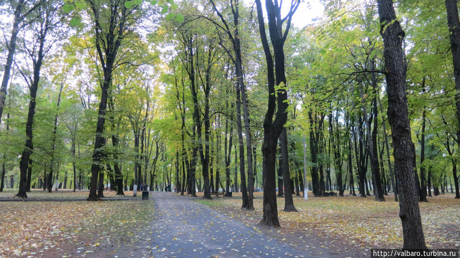 Лефортовский  парк Москва, Россия