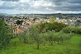 А вот и панорама на Поджибонси и оливковый сад.