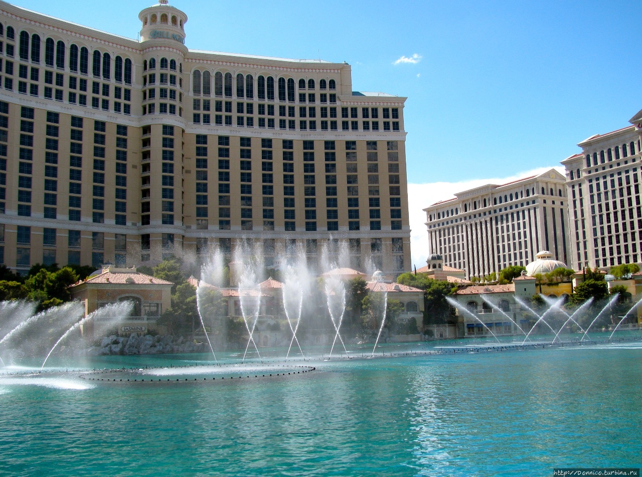 Лас Вегас Ставрополь. Нарцисс Лас Вегас. Getty images Vegas Caesars.