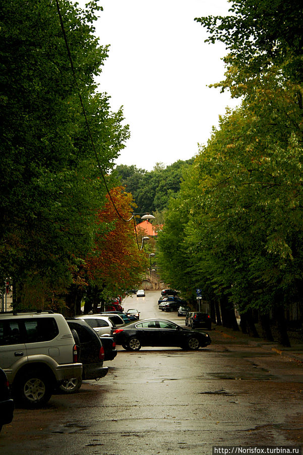 Unter den Linden по литовски Каунас, Литва