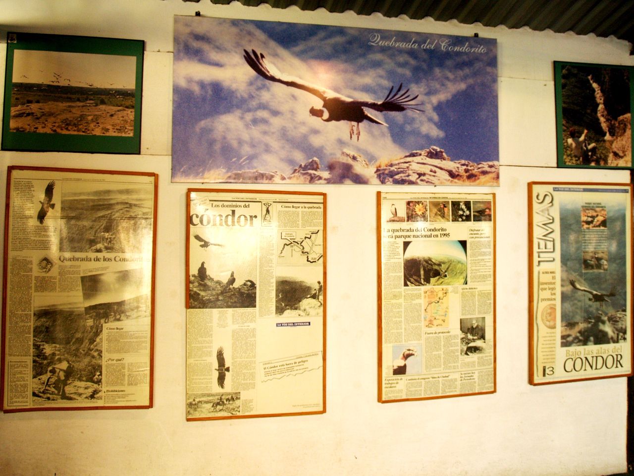 Начальная лётная школа кондоров и другие горные красоты Кебрада-дель-Кондорито Национальный Парк, Аргентина