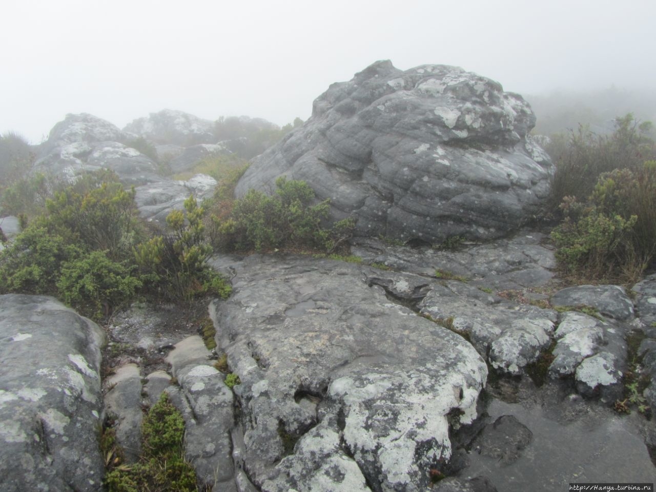 Столовая Гора Национальный парк Столовая Гора, ЮАР