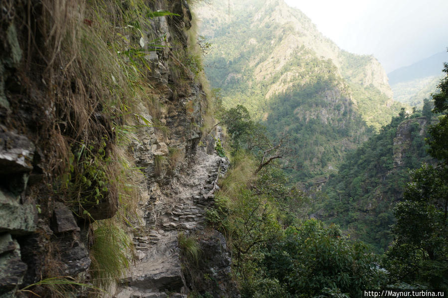 Треккинг    вокруг    Манаслу.   Часть   первая... Покхара, Непал