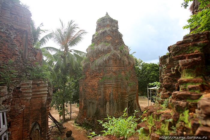 Храм Лолей. Северо-западная башня, поросшая растительностью. Фото из интернета Ангкор (столица государства кхмеров), Камбоджа