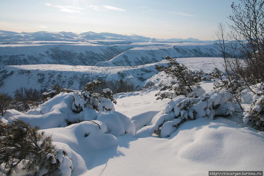 Избушка оленеводов и охотничьи лыжи Быстринский Природный Парк, Россия