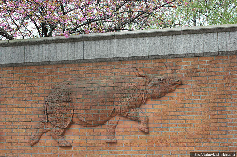 Стены Берлинского Зоопарка.
