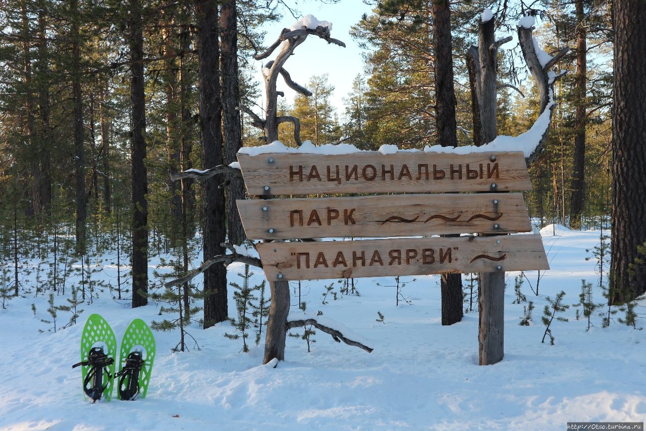 Из Вяйнолы в Похъёлу, часть 7: Путник в глубоких снегах Республика Карелия, Россия