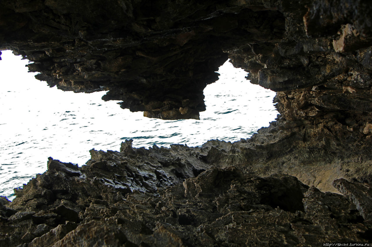 Пещеры живых цветов Энимал-Флауэ-Кейв, Барбадос