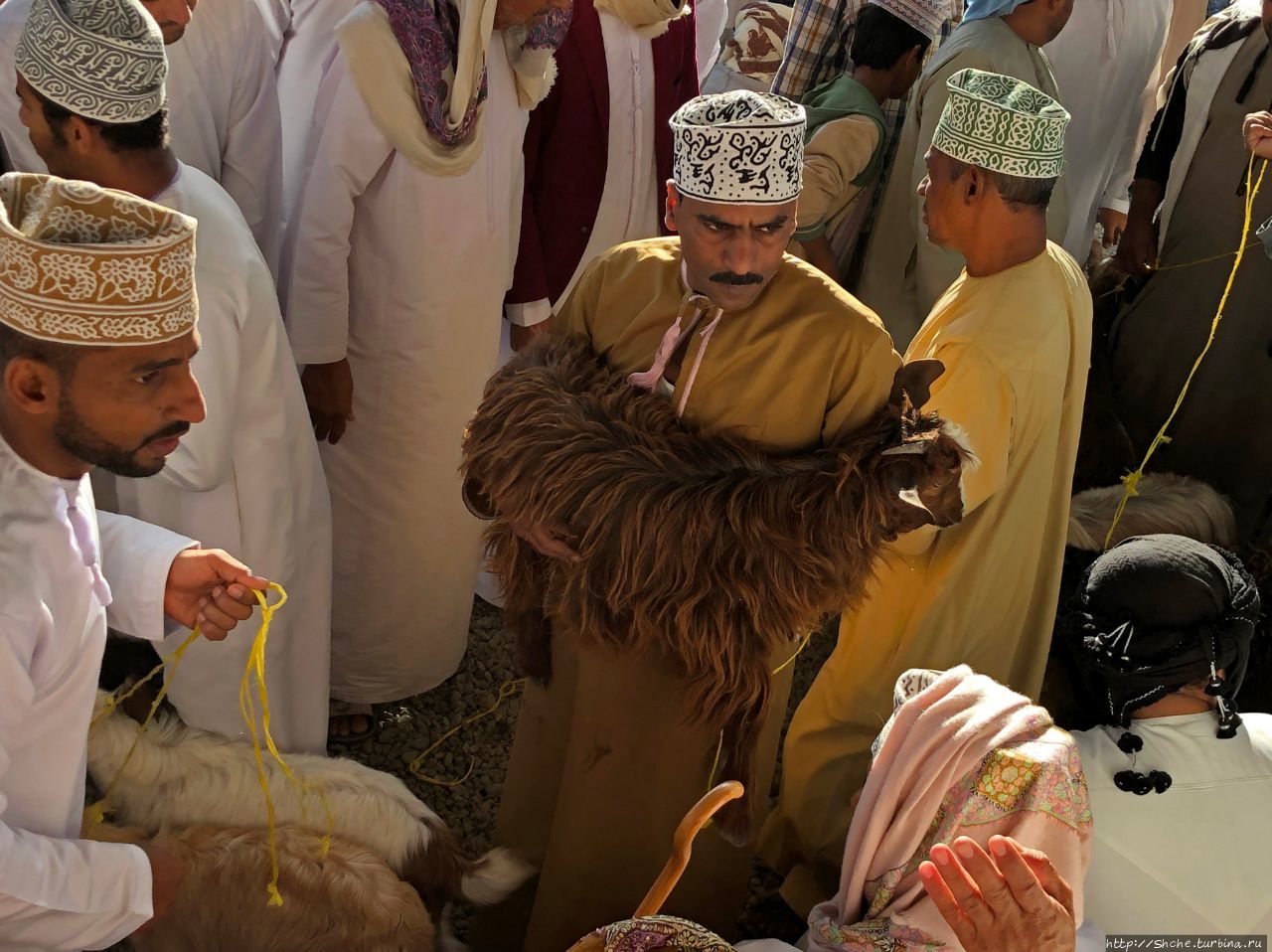 Козий рынок Низва, Оман
