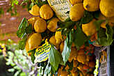 Как и Сорренто, да вобщем-то и все амальфийское побережье, на Капри культ лимонов. Еще бы — они тут произрастают кругом.