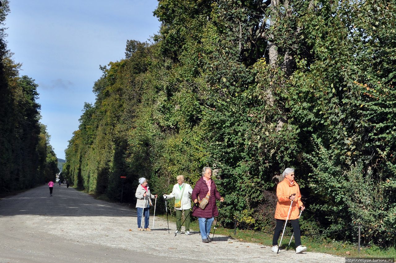— Скандинавская ходьба в исполнении австрийских пенсионерок Вена, Австрия