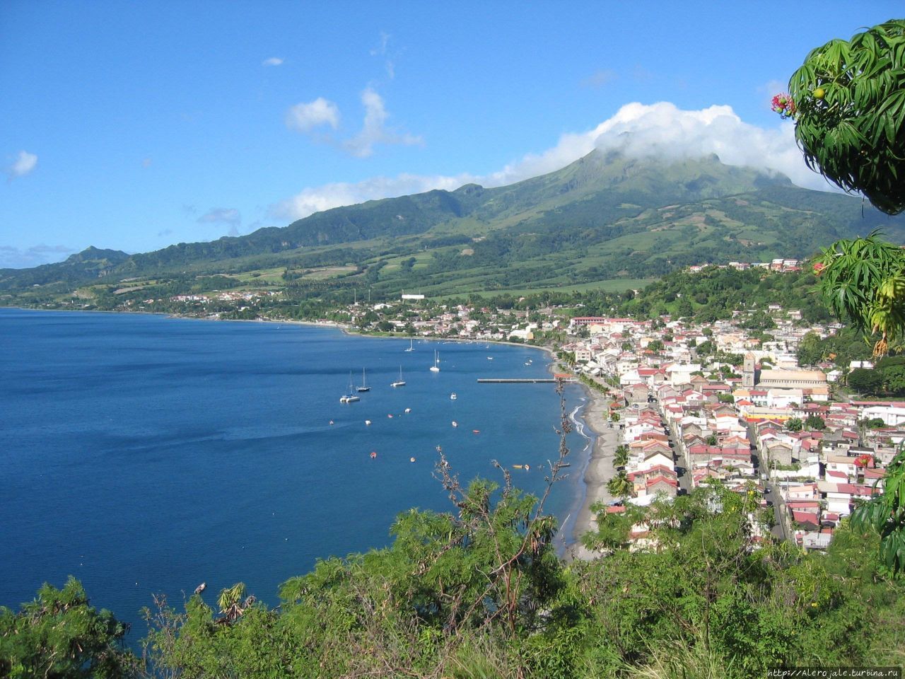 Мартиника — по Уйобищным трУщобам Мартиника