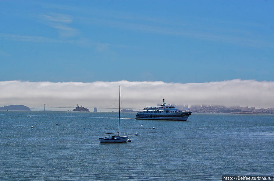 В Саусалито солнце, а Сан-Франциско окутан туманом