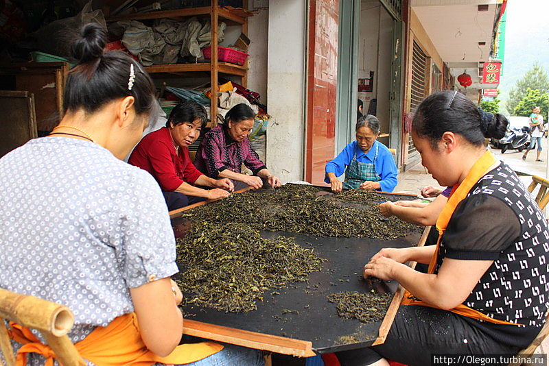 Деревня пропитанная запахом чая Уишань, Китай