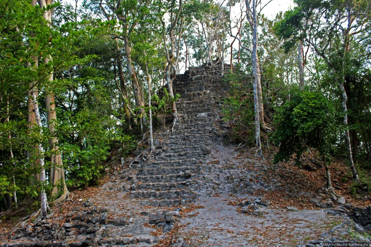 Эль Мирадор Эль-Мирадор  (город майя), Гватемала
