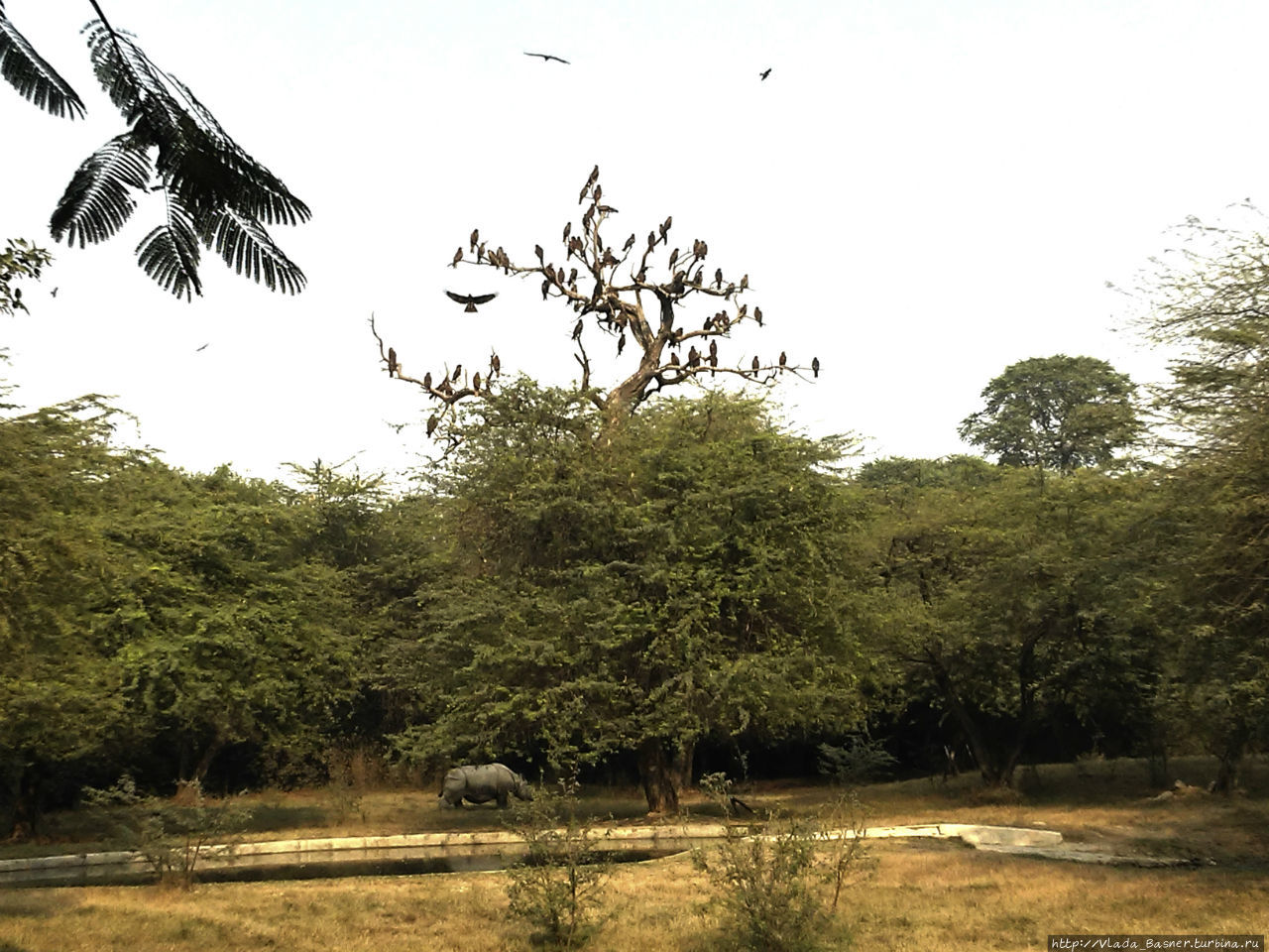Зоопарк Дели Дели, Индия
