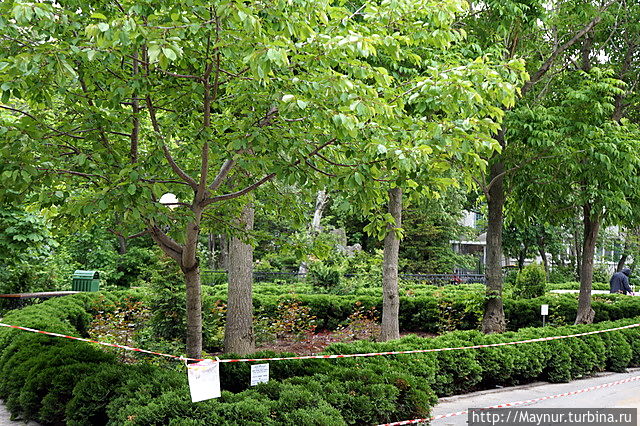 День музея Южно-Сахалинск, Россия