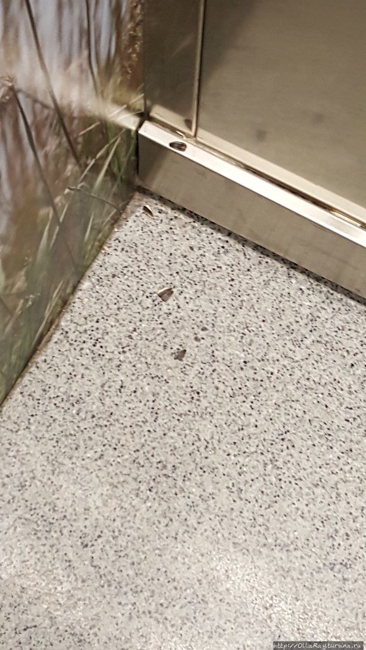 Редиссон Блю Эспоо (4*) Эспоо, Финляндия