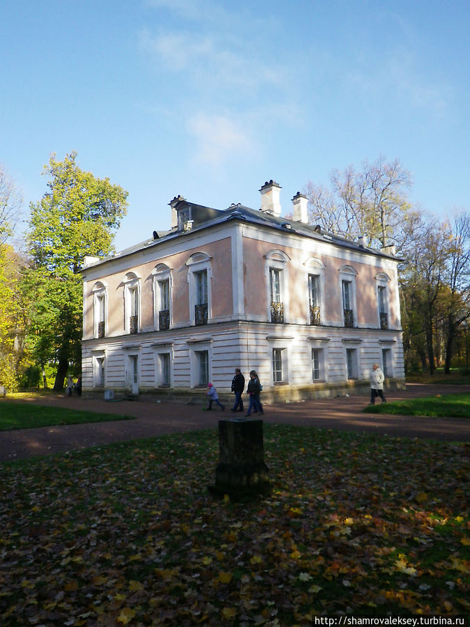 Дворец Петра III