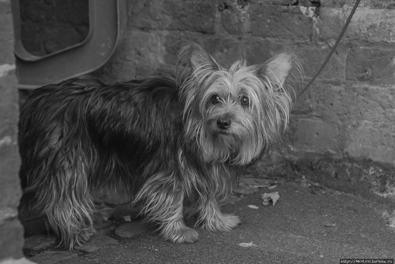 В центре Лондона Лондон, Великобритания
