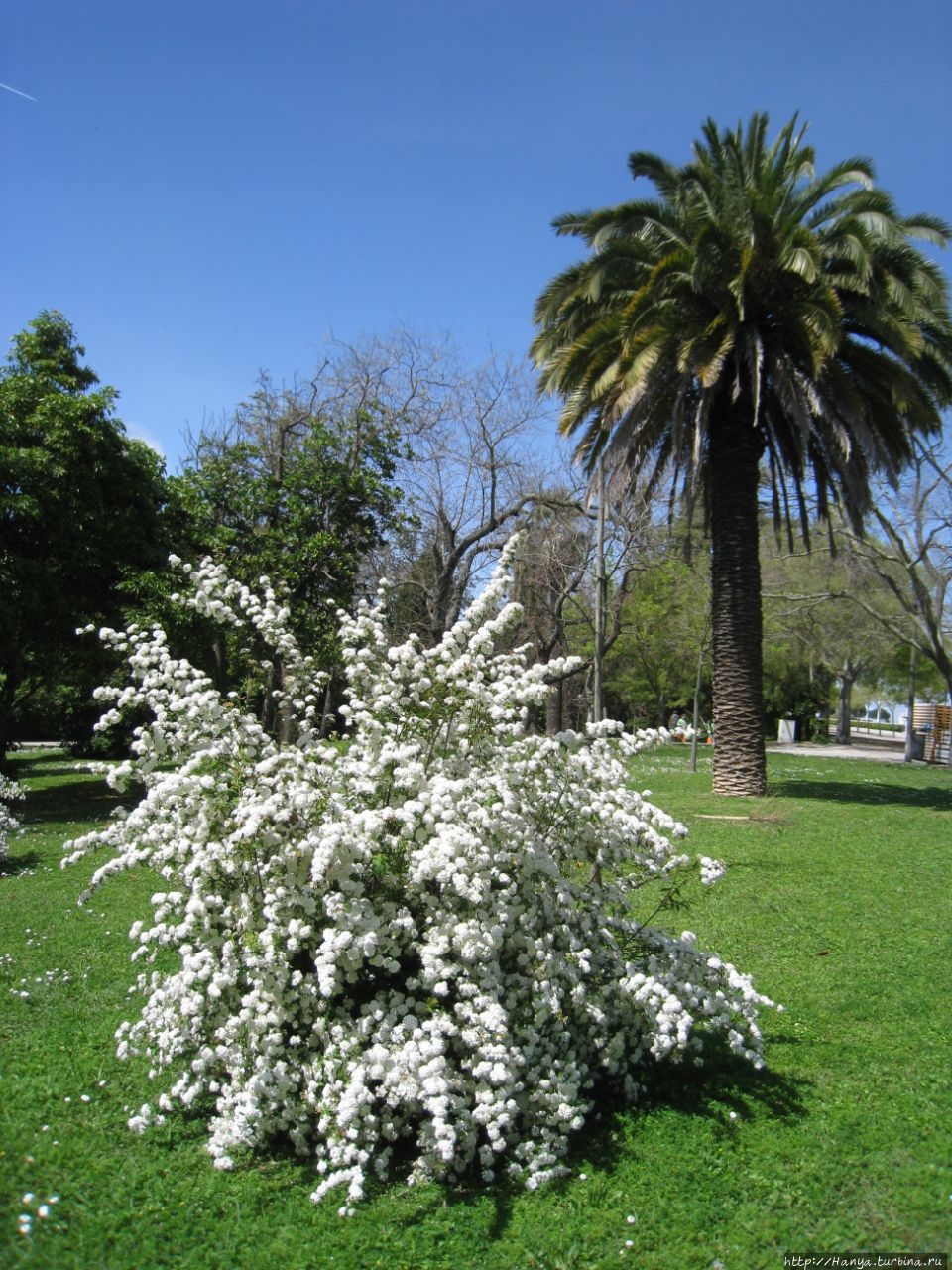 Парк Эдуарда VII Лиссабон, Португалия