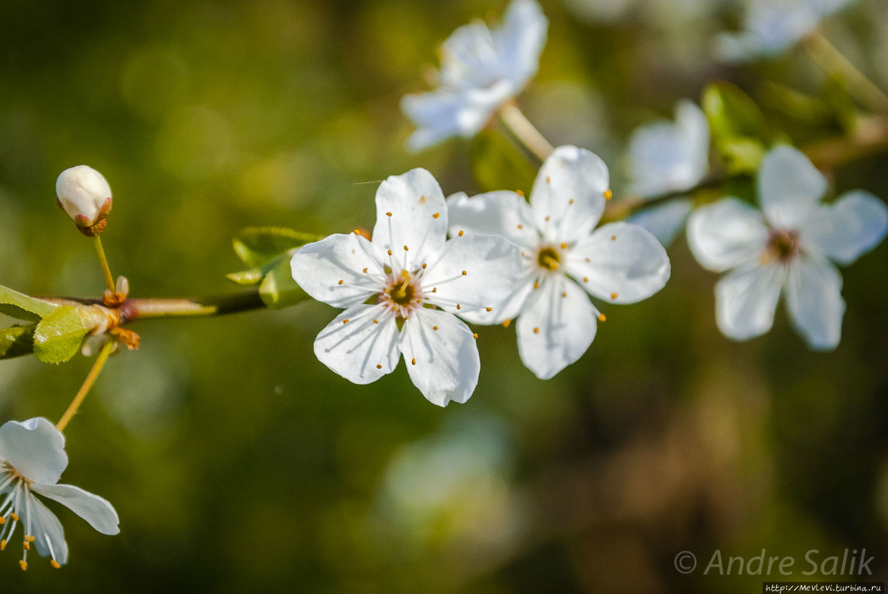Daugavgrīvas Cietoksnis Рига, Латвия