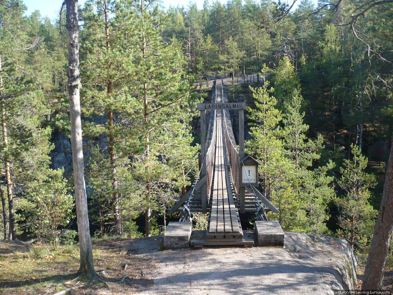 Небольшая прогулка по Лисьей тропе Реповеси Национальный Парк, Финляндия