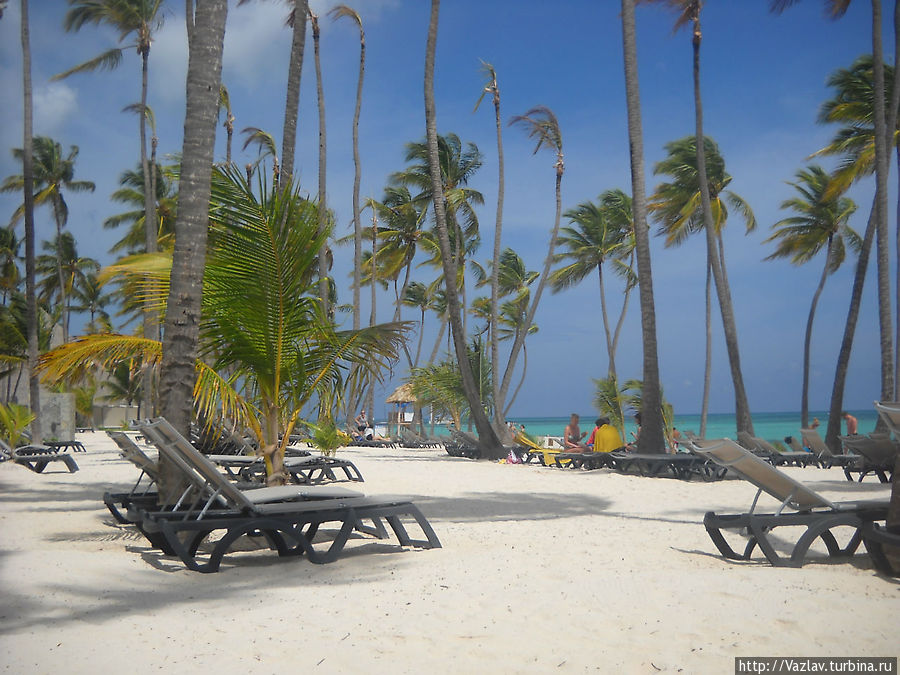 Отдых под пальмами Пунта-Кана, Доминиканская Республика
