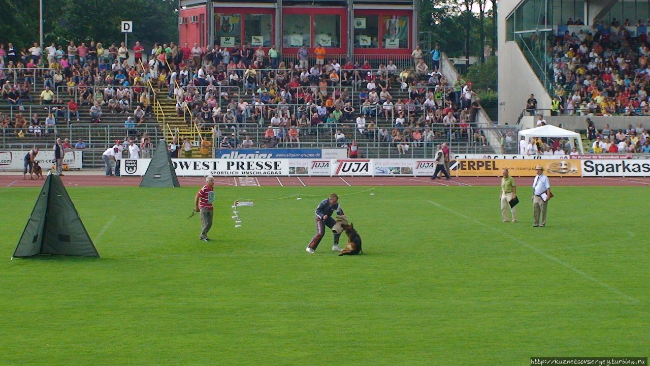 Зигер в Ульме Ульм, Германия