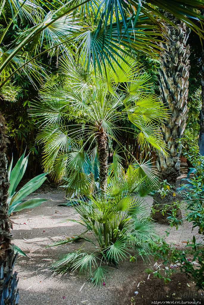 Небольшой сад в Марракеше Марракеш, Марокко