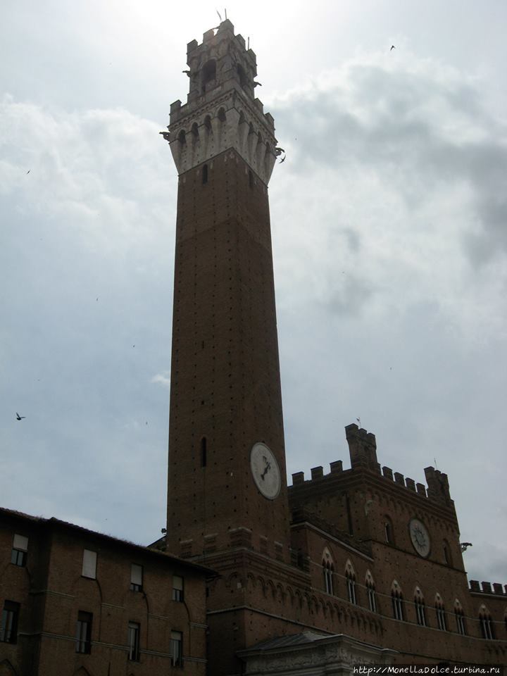 Siena: площадь piazza del Campo Сиена, Италия