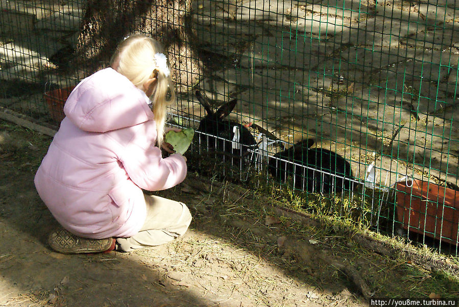 Поймайте мне кролика Нижегородская область, Россия