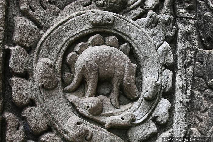 Та Пром. Рельефное изображение таинственного стегозавра, более похожего на гиппопотама. Фото из интернета Ангкор (столица государства кхмеров), Камбоджа