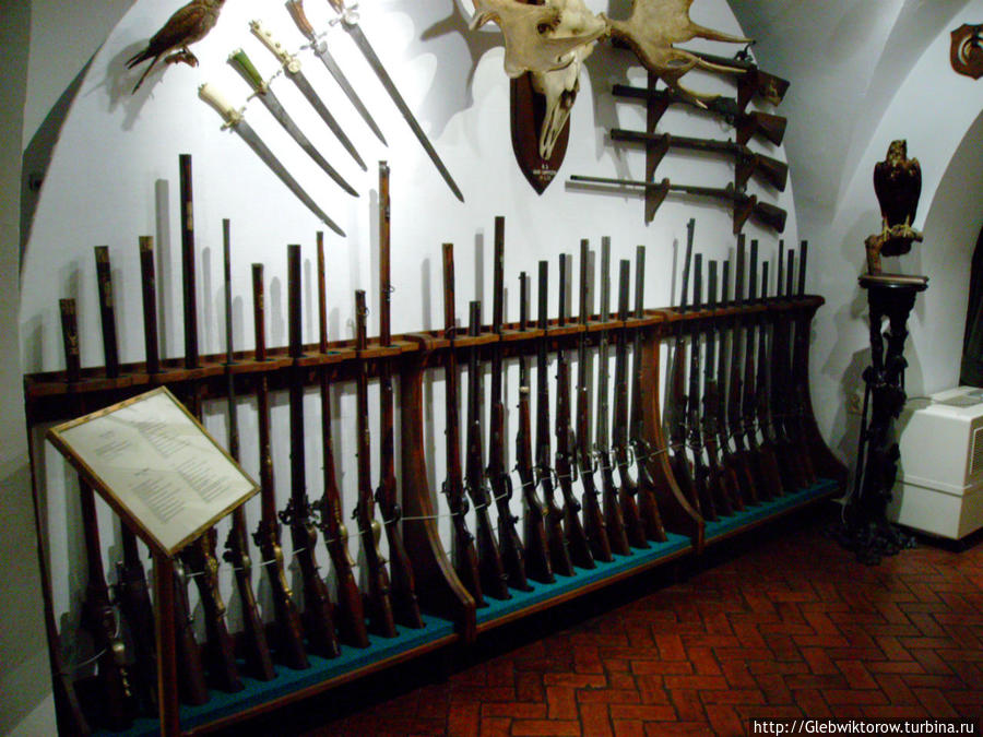 Muzeum Łowiectwa i Jeździectwa Варшава, Польша