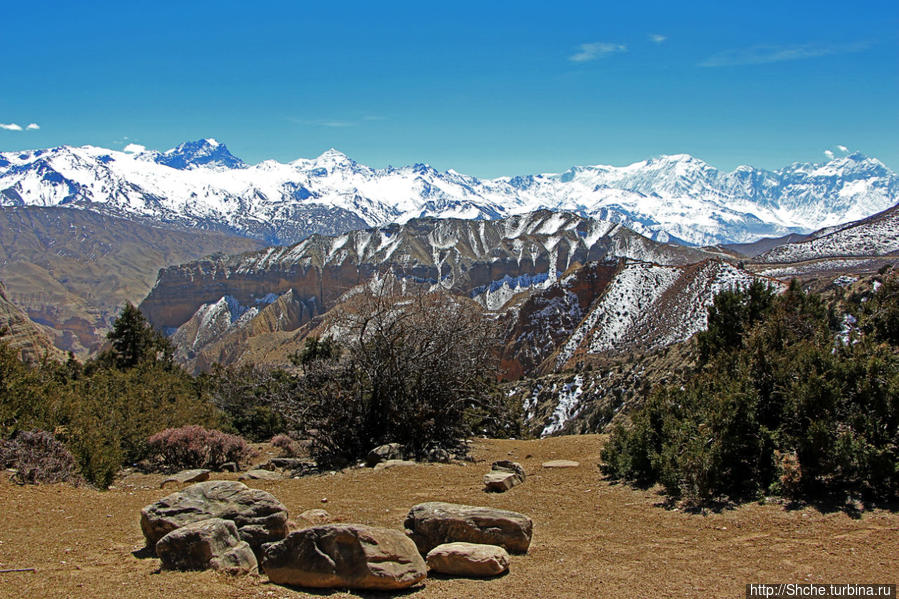 вышли на высокогорное плато... Бхена, Непал