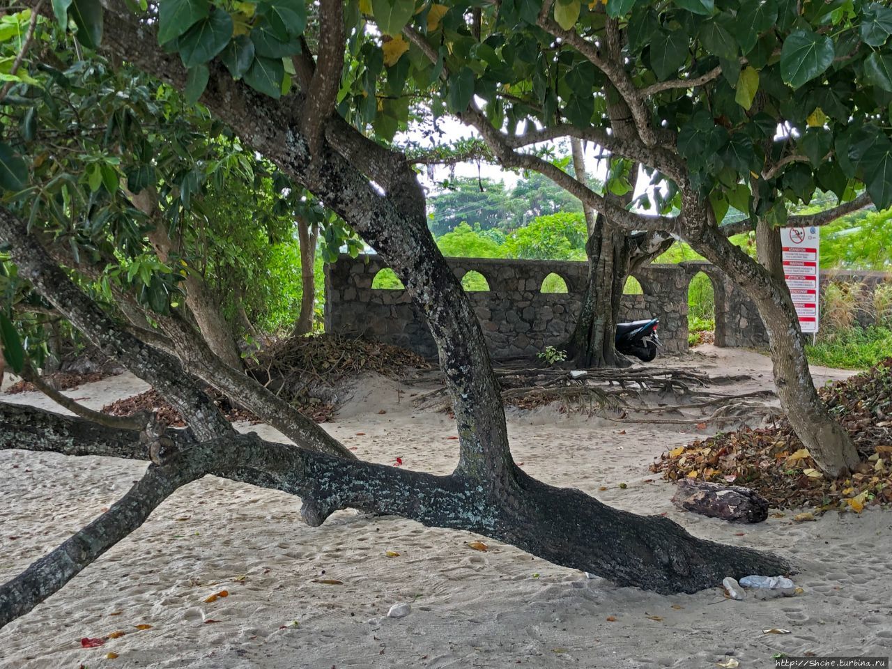 Анс Мария Лаура Бель-Омбр, Сейшельские острова