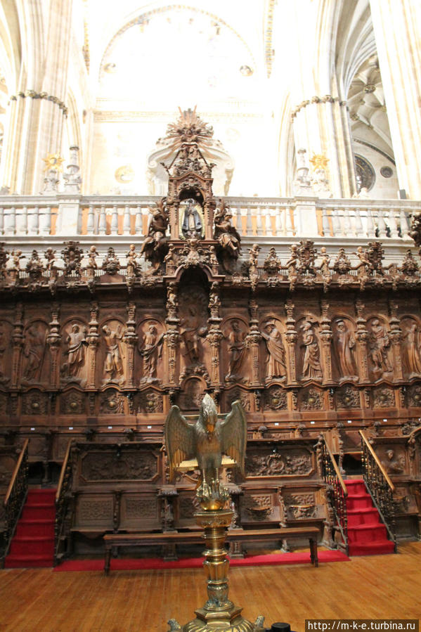 Новый кафедральный собор. Как мы искали космонавта Саламанка, Испания