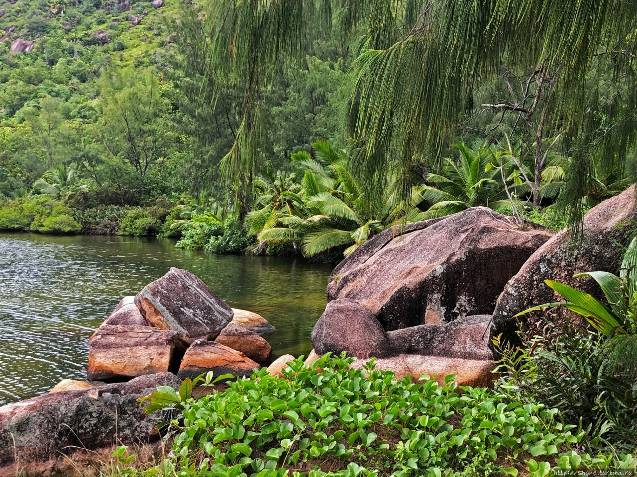 Ансе Лацио / Anse Lazio