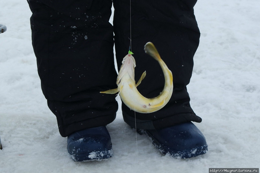 Азарт, умение и  везение... Южно-Сахалинск, Россия